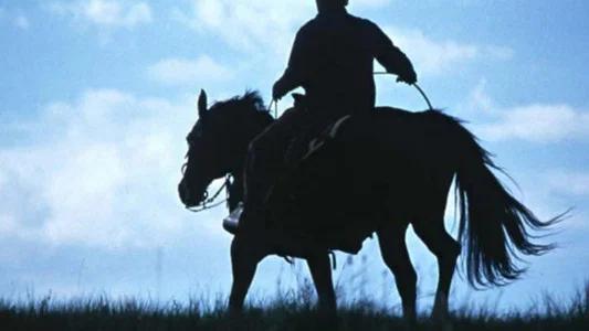 Foto de El señor de los caballos