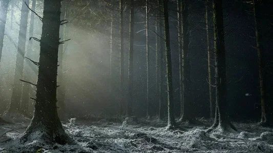 Foto de Werwulf