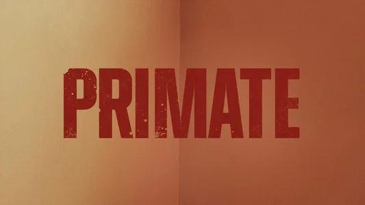 Foto de Primate