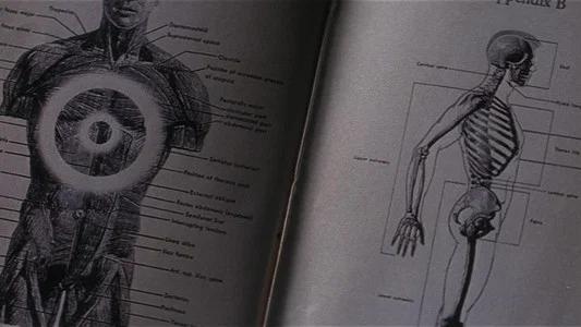 Foto de Donnie Darko