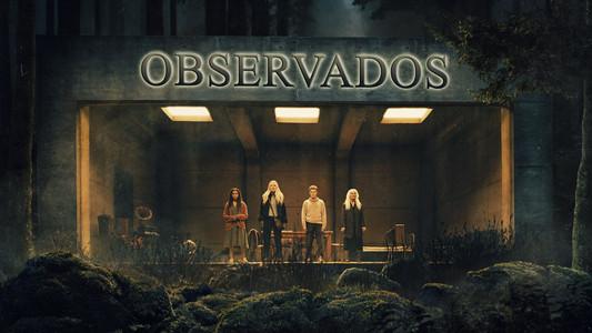 Foto de Observados