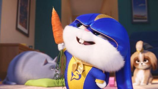 Foto de La Vida Secreta De Tus Mascotas 2