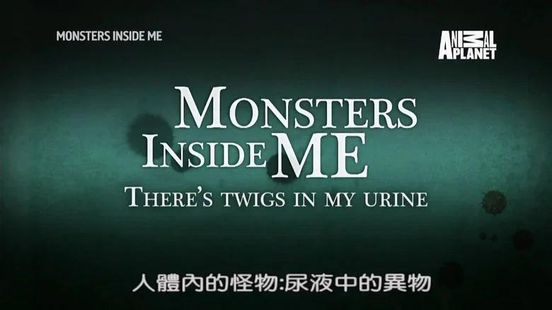 Episodio 12