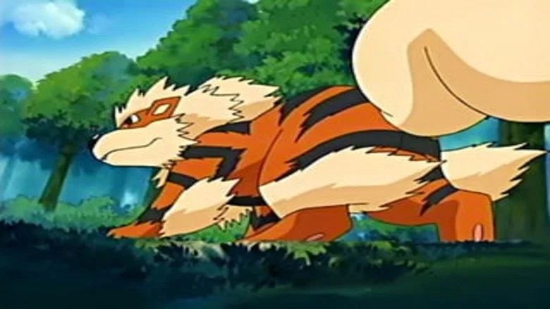 En La Nube De Arcanine