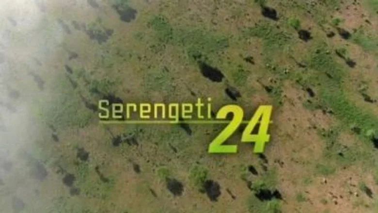 Episodio 11
