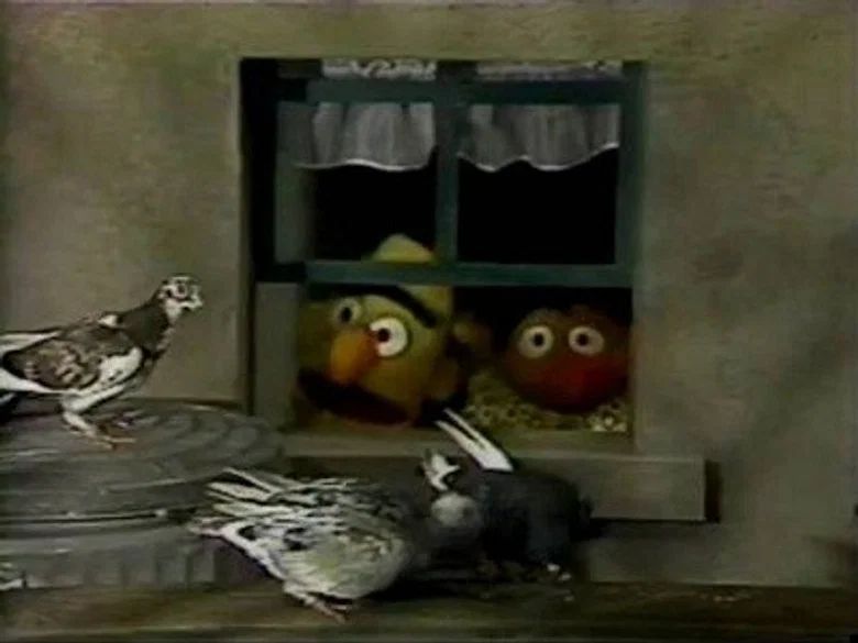 Episodio 9