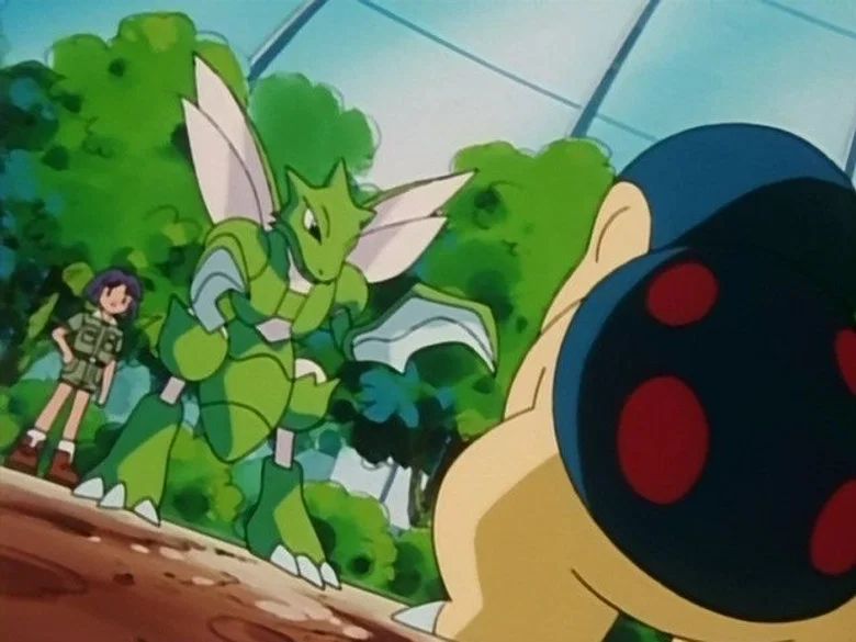 El Duelo Con Los Insectos