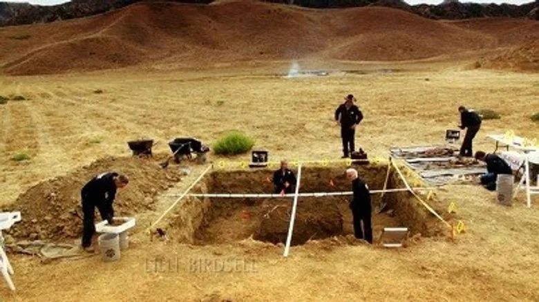 CSI en llamas