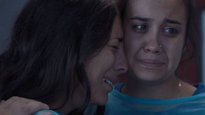 Episodio 773