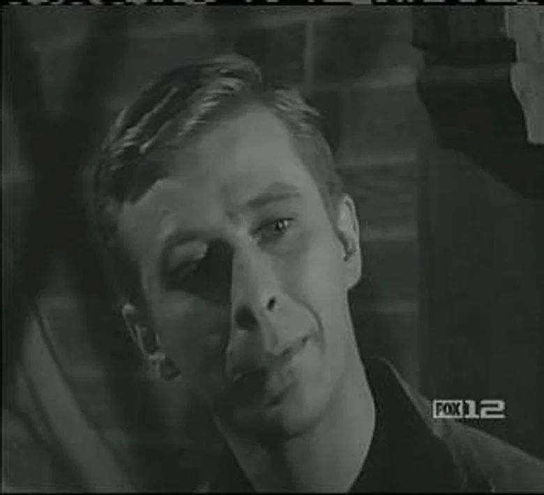 Episodio 29