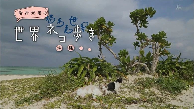 Episodio 16