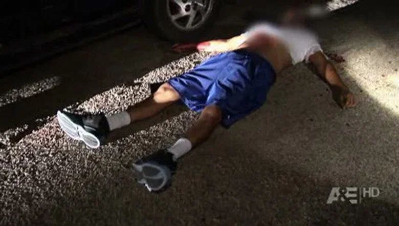 Episodio 15