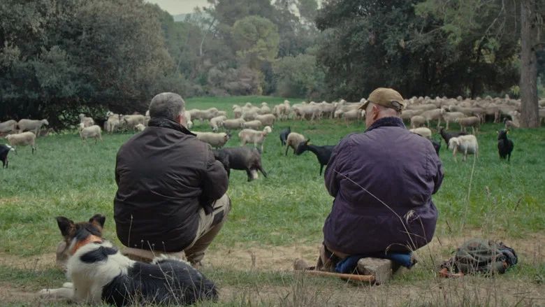 Episodio 5