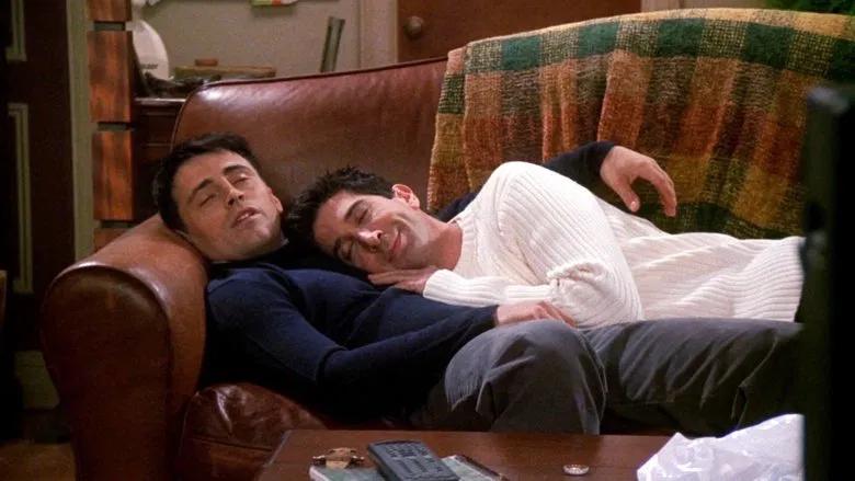 Compañeros de siesta