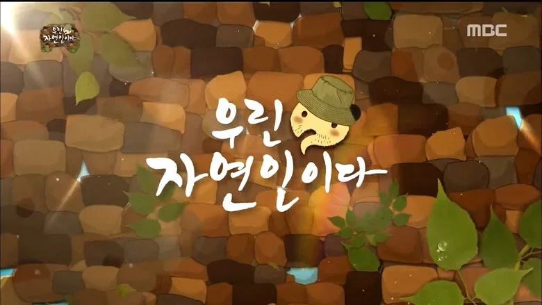 Episodio 503