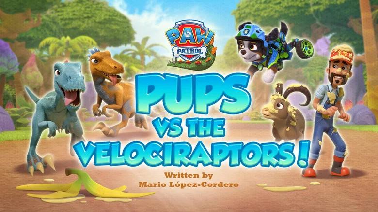 Episodio 14
