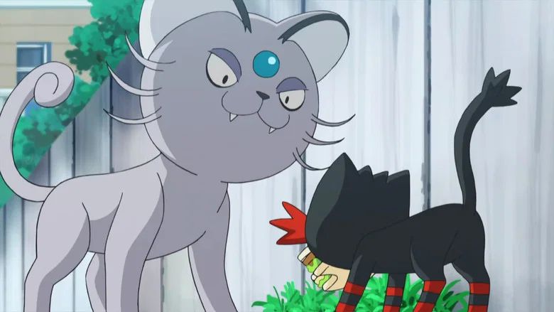 ¡Por Eso Litten Es Un Ladrón!
