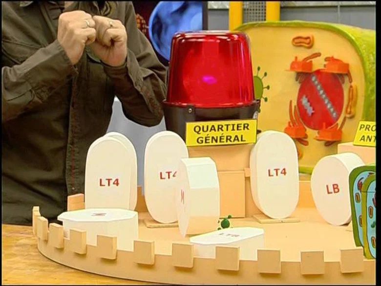 Episodio 426