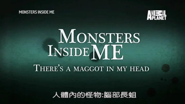 Episodio 5