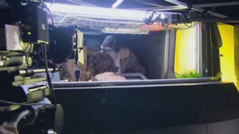 Episodio 3