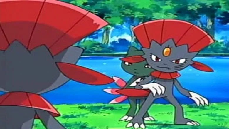 Duelos De La Selva