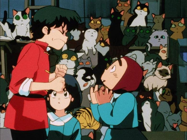¿En verdad no te gustan los gatos?