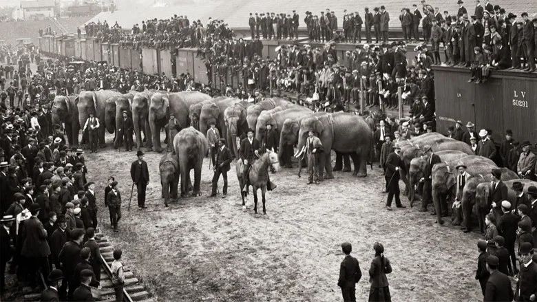 Episodio 7