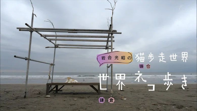 Episodio 79