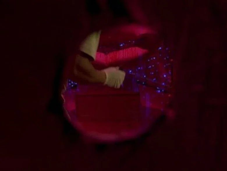 Evidencia invisible