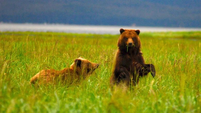 Episodio 6