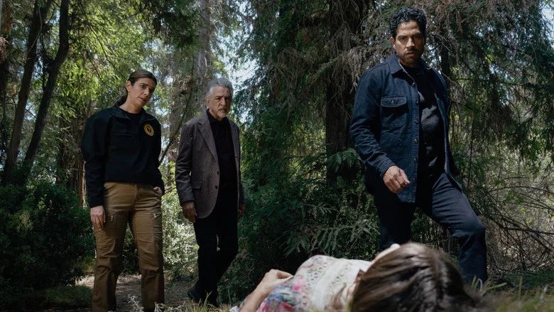 Episodio 8