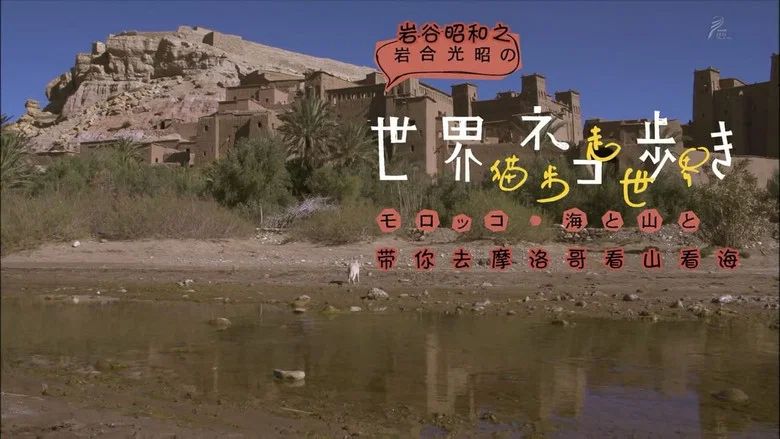 Episodio 11