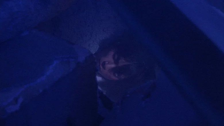 Episodio 48