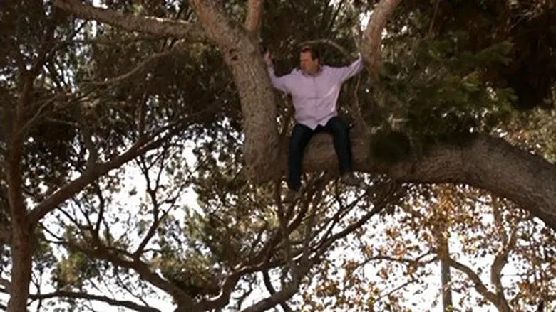 Cuando cae un árbol