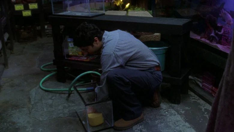 Episodio 13