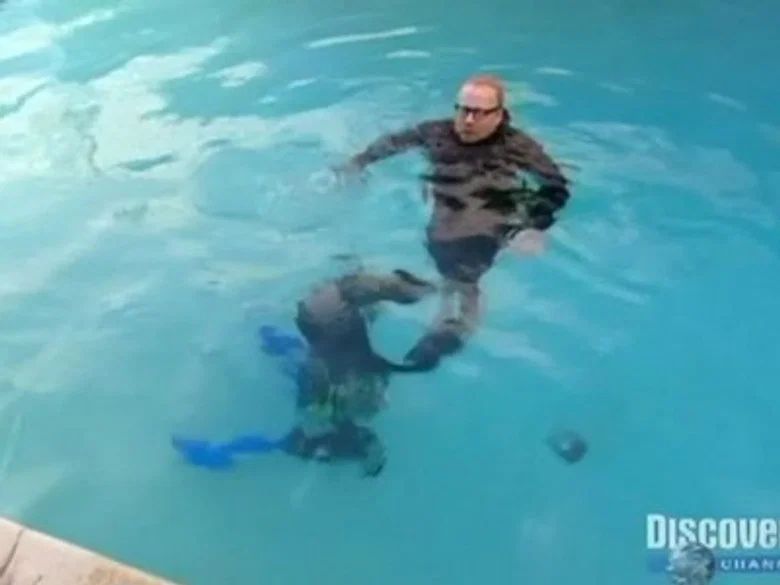 Episodio 13