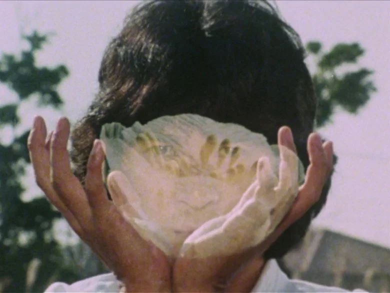 Episodio 13