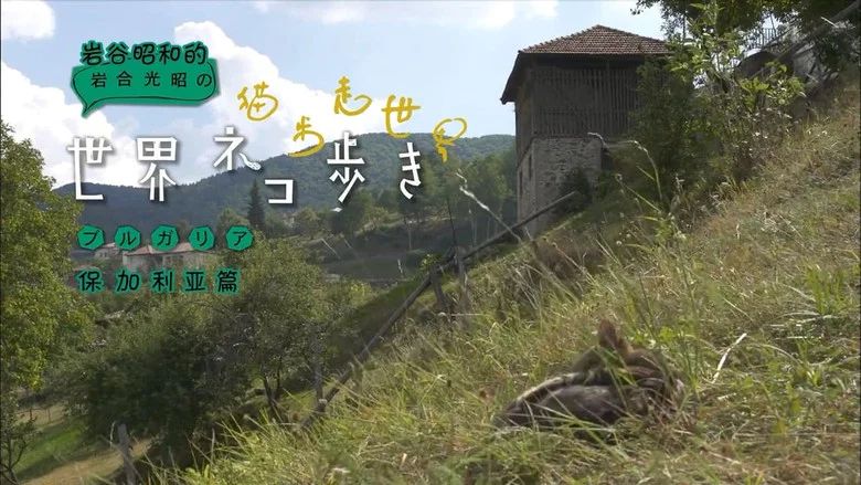 Episodio 12